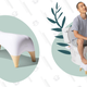 Tushy Ottoman Toilet Stool for Bathroom | $70 | Amazon | Clip Coupon